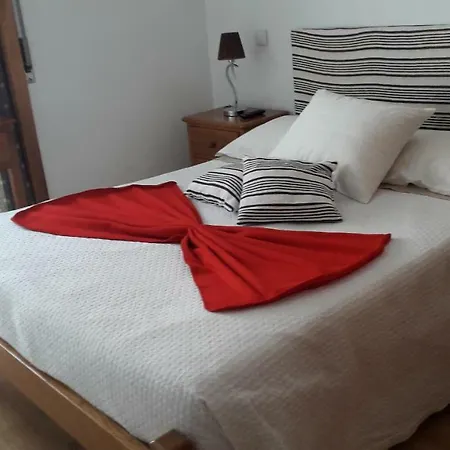 Myosotis Guest house