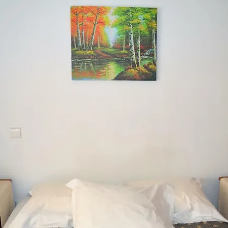 Myosotis Guest house Porto